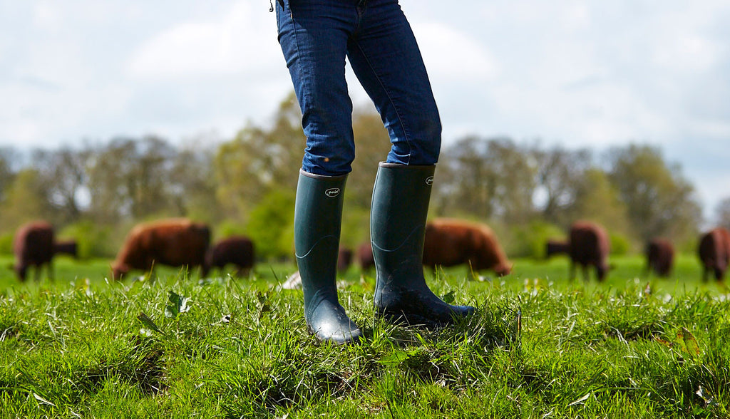 Saxon long riding boots Clearance
