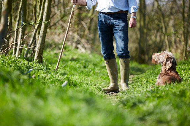 dog walking royal zip yard boots